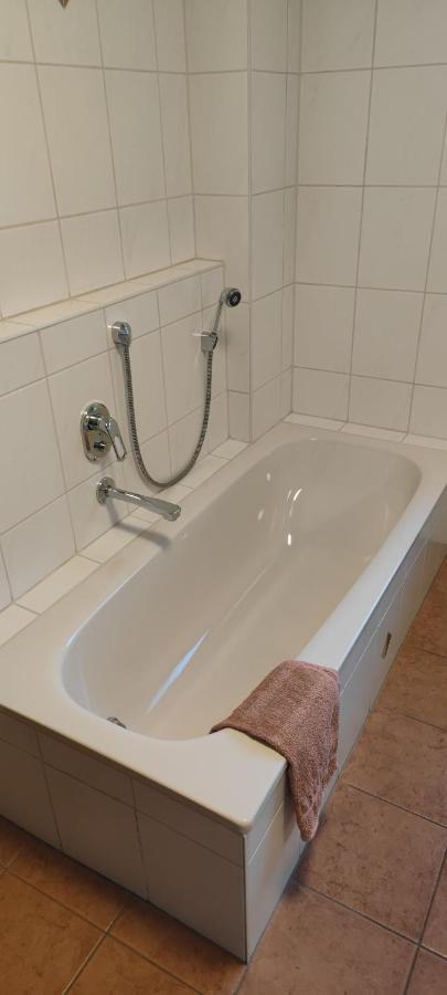 Ferienwohnung Zwischen Rhein Und Schwarzwald Bischweier Экстерьер фото