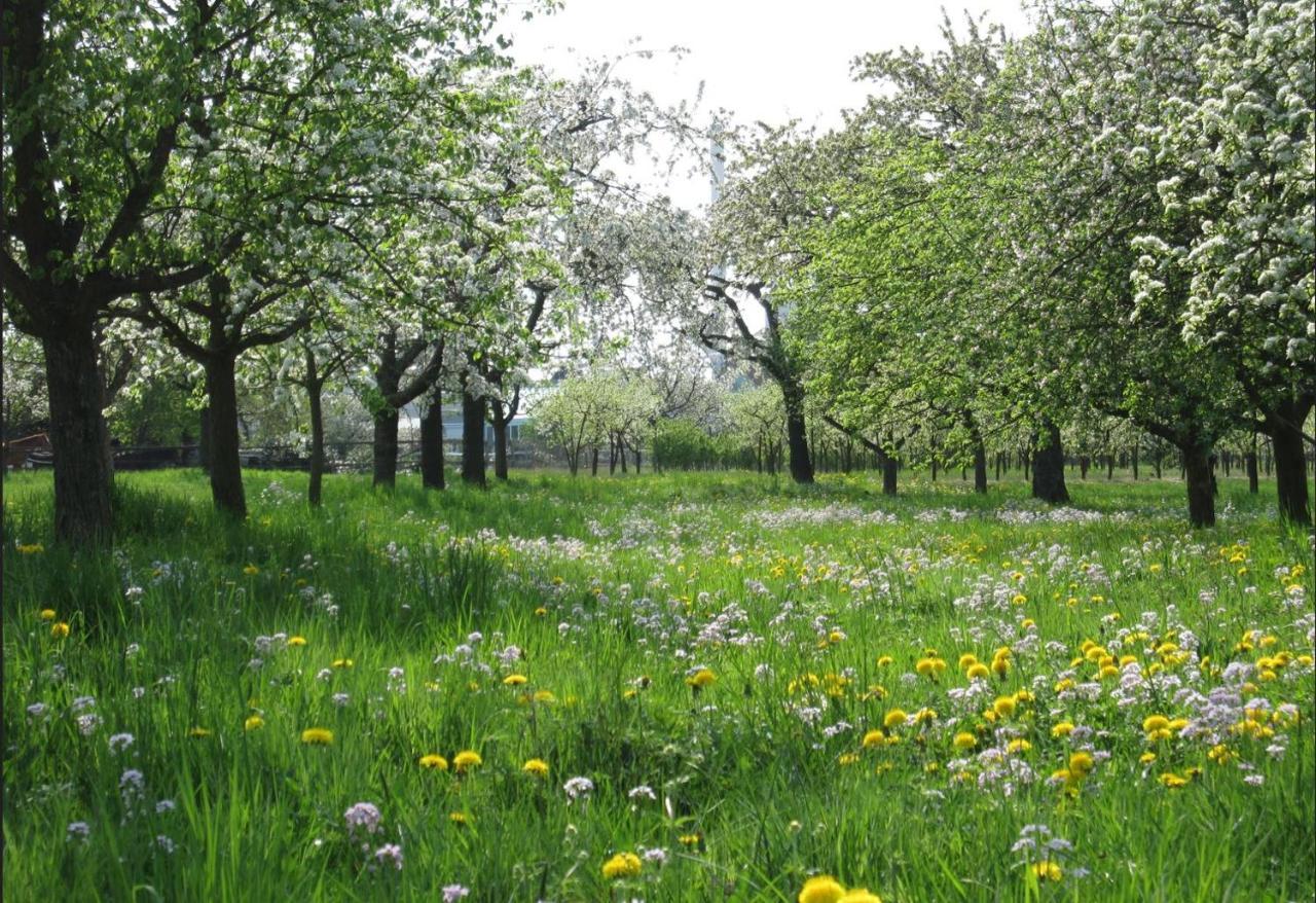 Ferienwohnung Zwischen Rhein Und Schwarzwald Bischweier Экстерьер фото